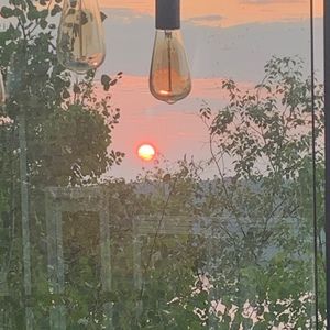 Meet your Posher, Evie